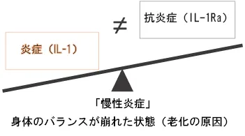 炎症（ブレーキ）と成長因子（アクセル）の考え方